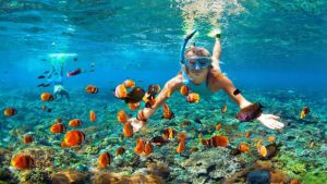 casa-ticul-hotel-boutique-5th-ave-dive